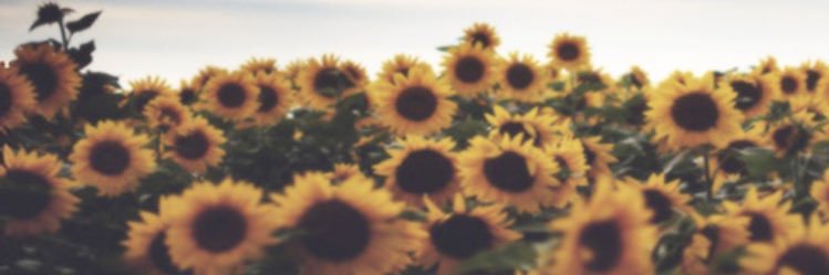 Ashhh_Renae's profile banner image