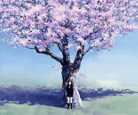 alamiyahres_'s profile banner image