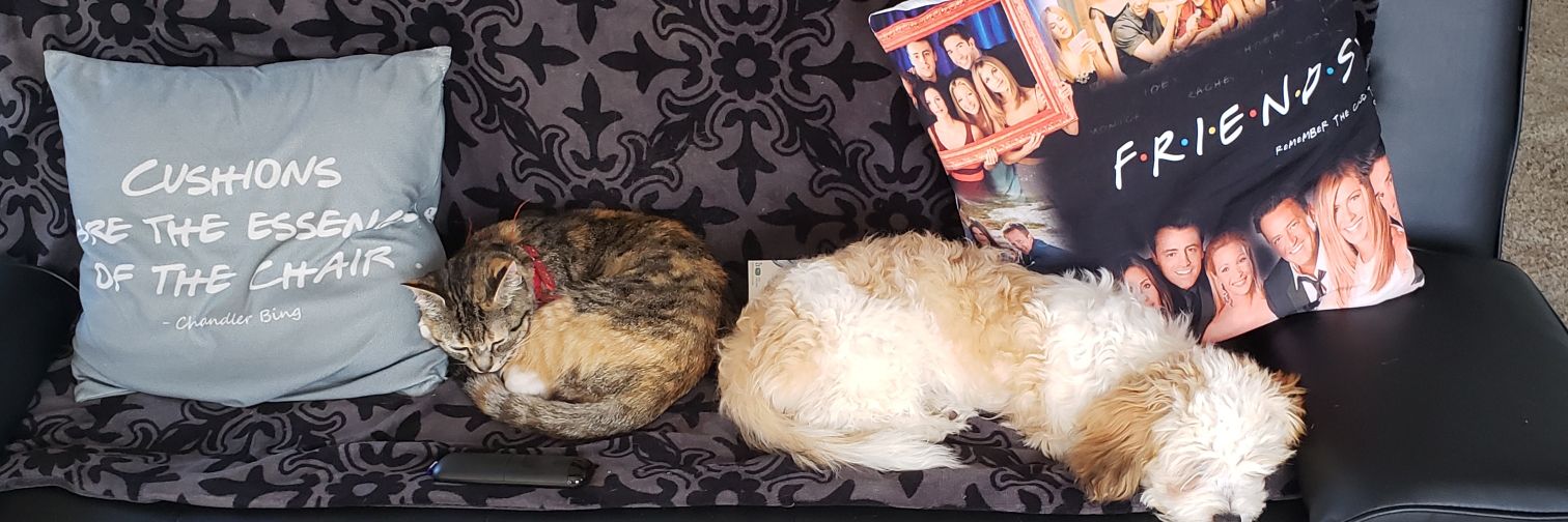 CuteLilButt0n's profile banner image