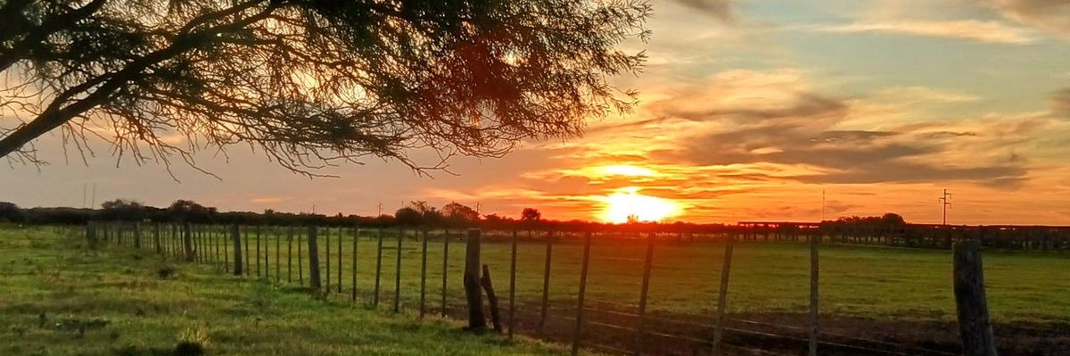 Jonathanrdza91's profile banner image
