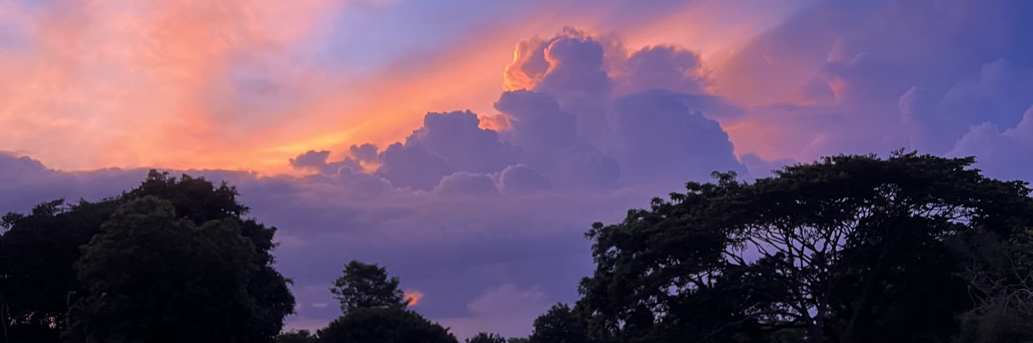 DayiRamos's profile banner image