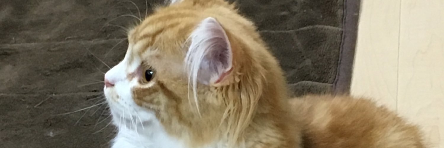 coo661's profile banner image