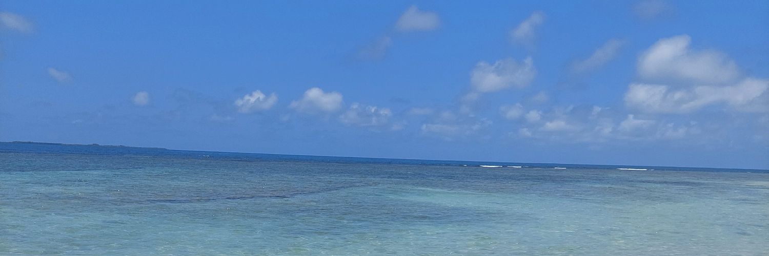 luiselenasr's profile banner image