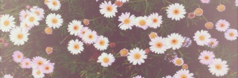 smridge's profile banner image