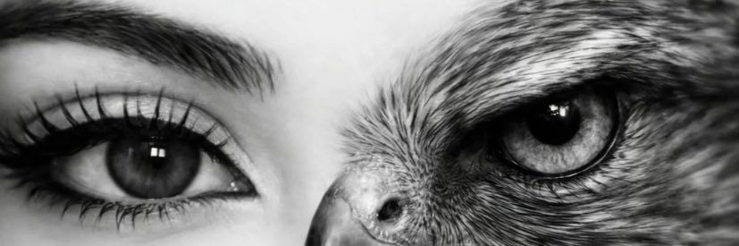7 banner
