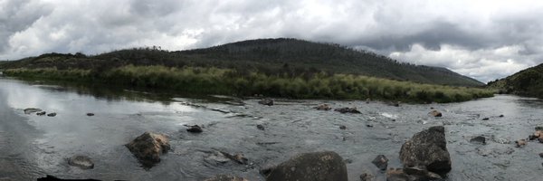 NessNimmo Profile Banner