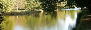 ElleanorHorsch's profile banner image