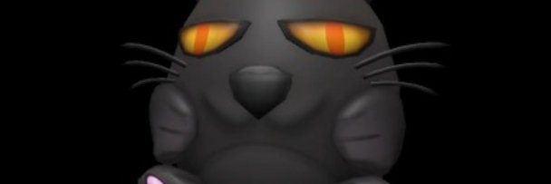 Kitteh banner