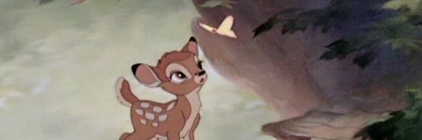 hinavlr Profile Banner