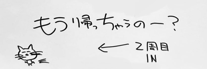 しぃ banner