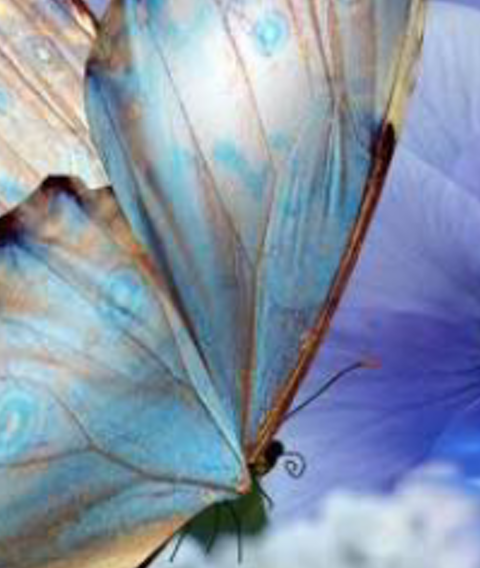 kmtt77's profile banner image