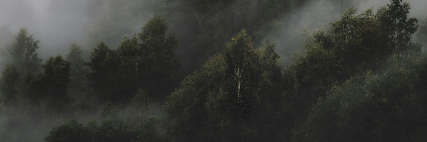 Luca Powell's banner