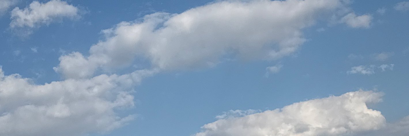 alex banner