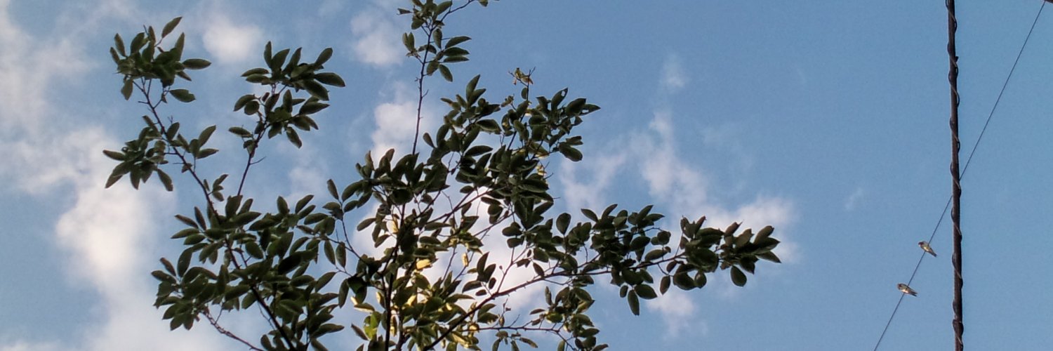 baboradayon's profile banner image