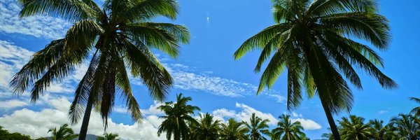 MostlyVV Profile Banner