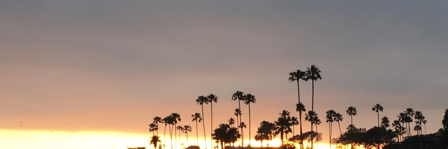 sheebz24's profile banner image