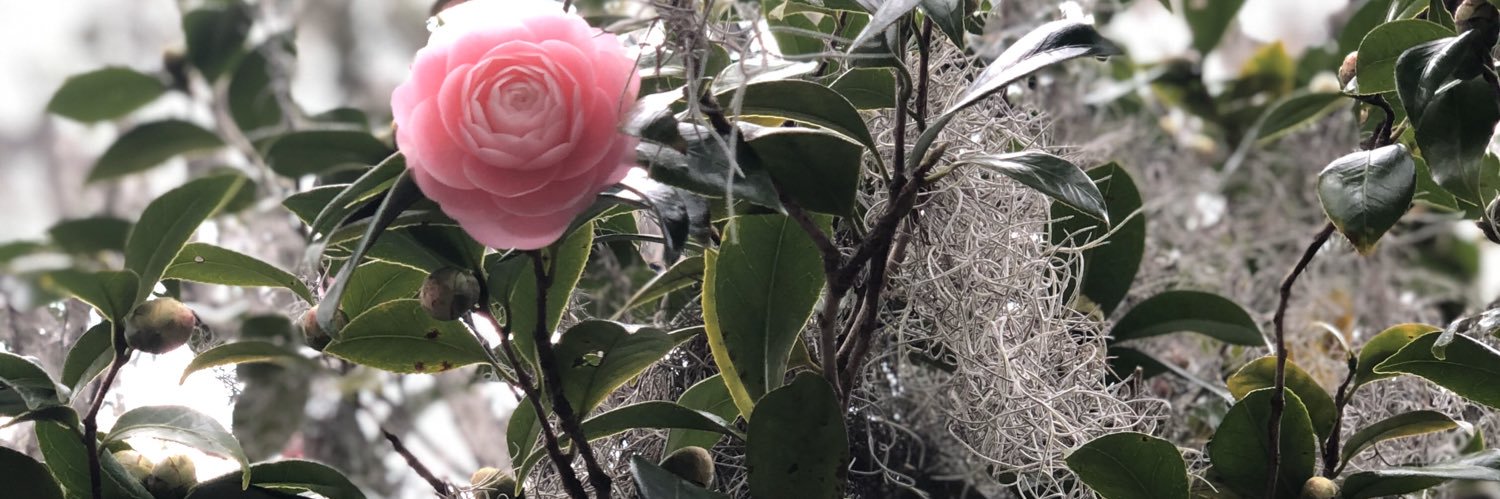findingmyvoice's profile banner image