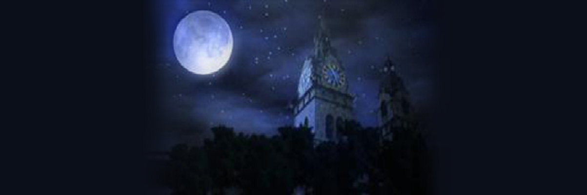 junordic's profile banner image