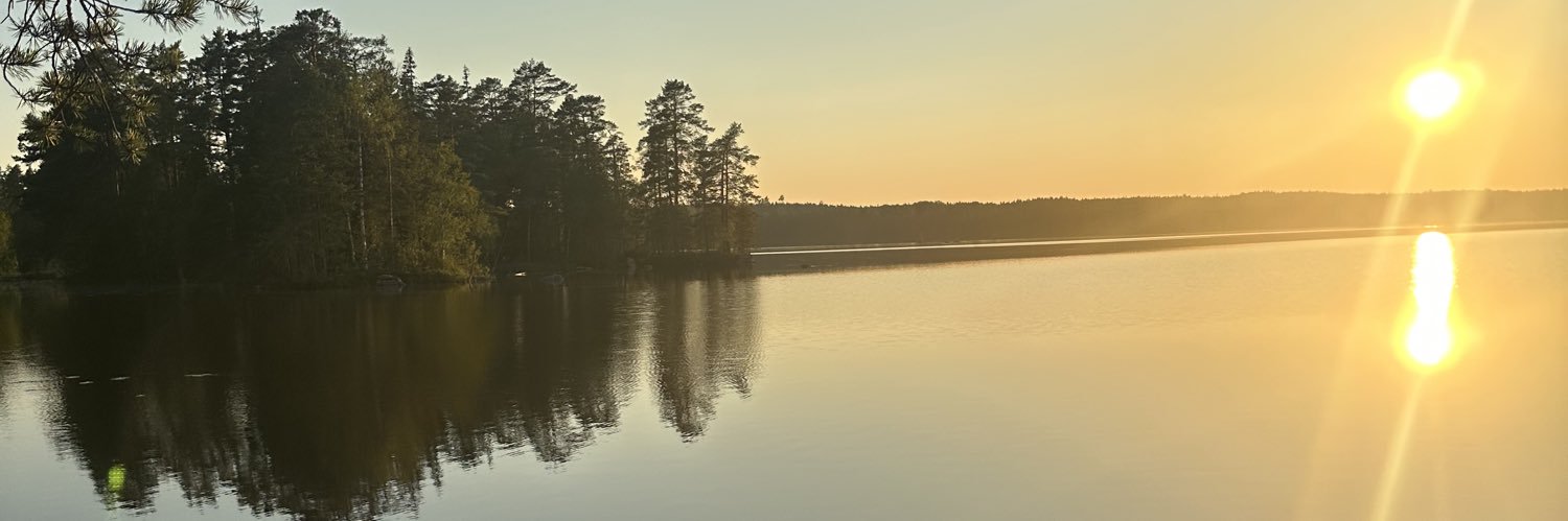 Viveca Molin banner