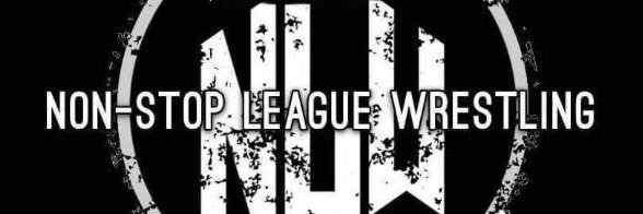 D Wrestling N banner