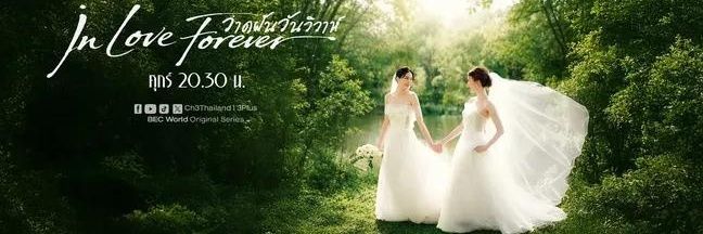 QYangQQMiu's profile banner image