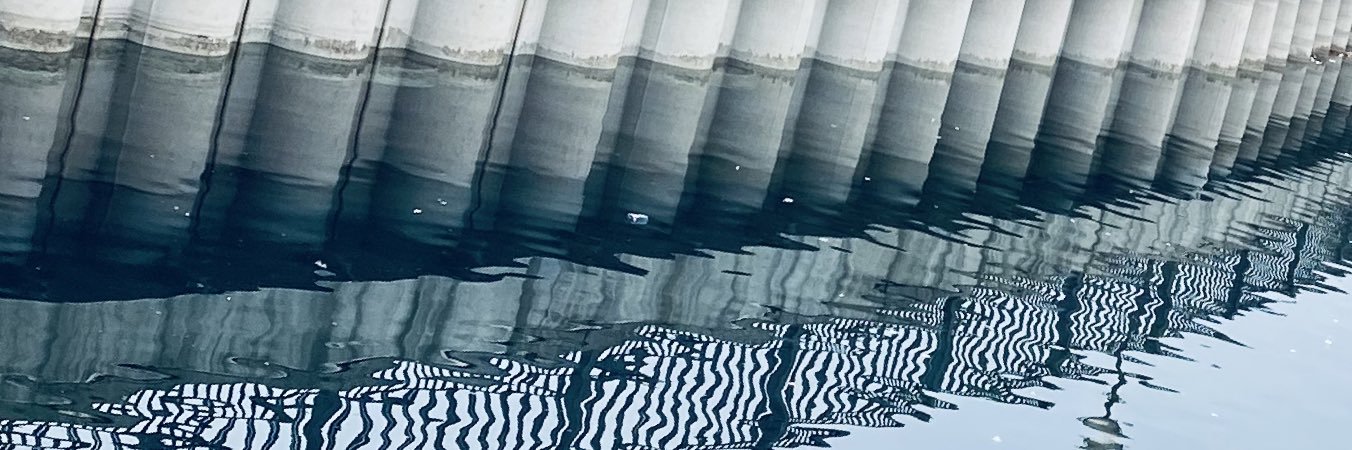 svinka79's profile banner image