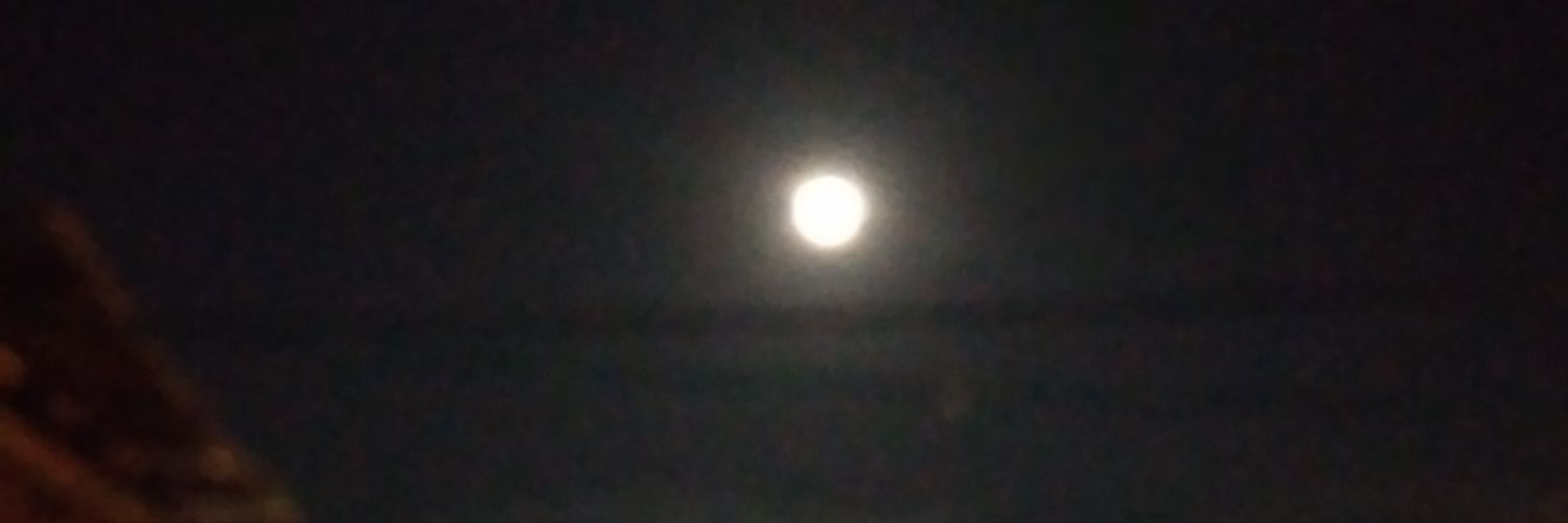 yavym's profile banner image