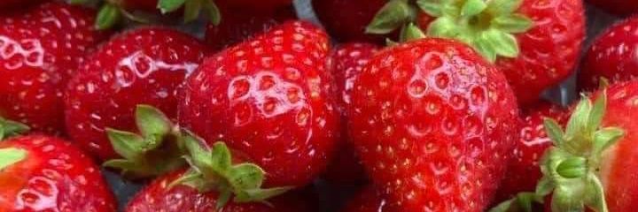 Dayan Merrodt ⛧🫀🎨 banner