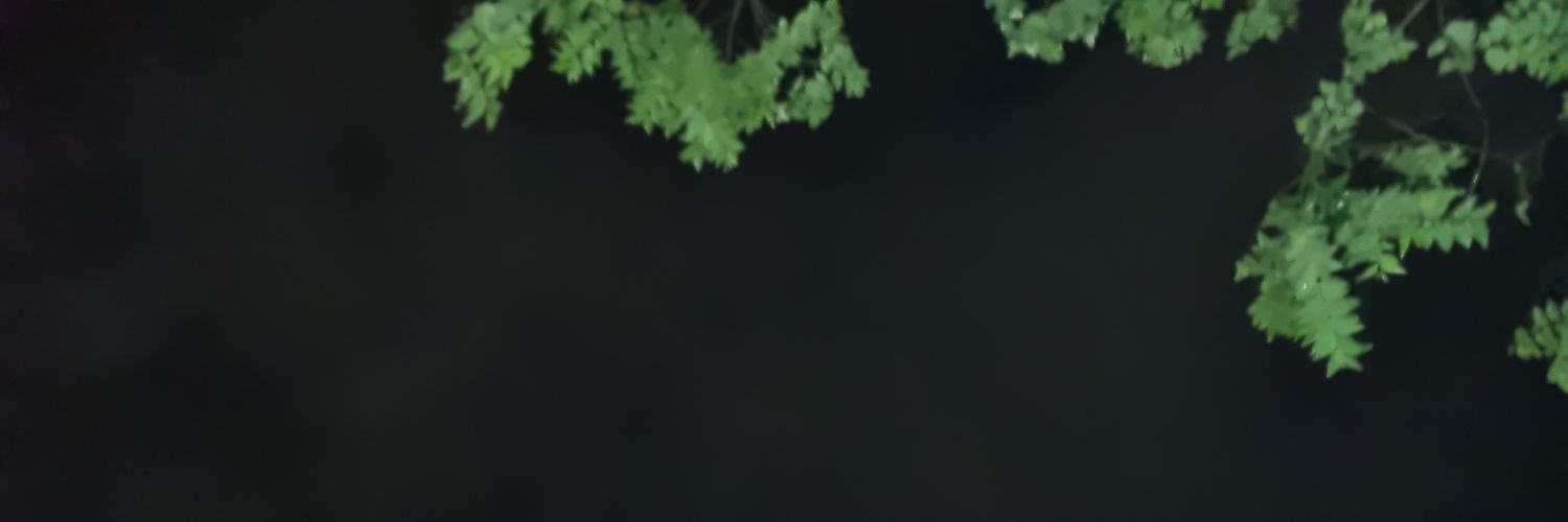 abolanosarias's profile banner image