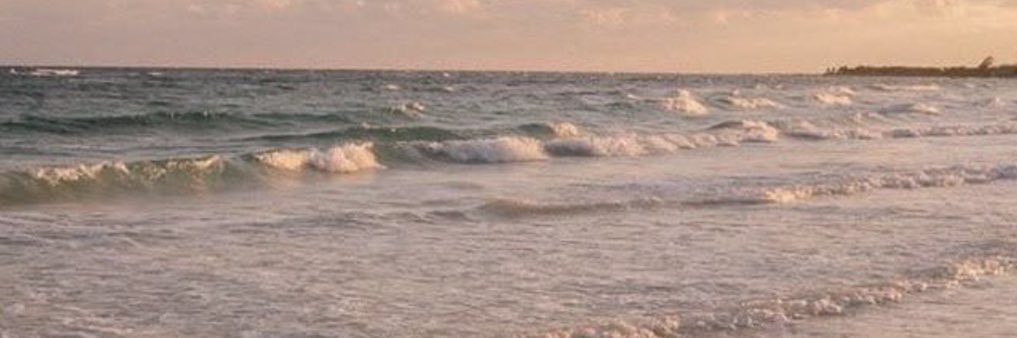 . banner