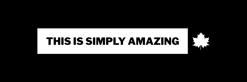 Anthony Champion banner