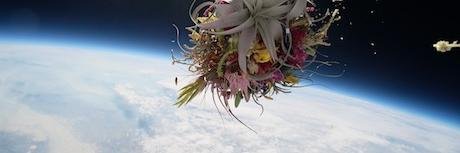 SoundOfPsylence's profile banner image