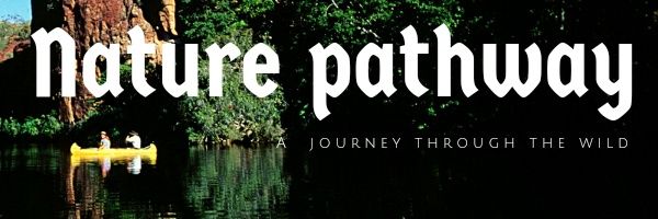 Nature Pathway's banner