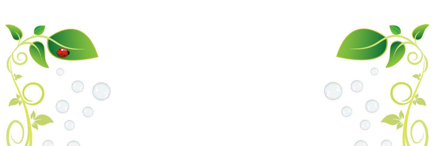 Ruby Cleaners banner