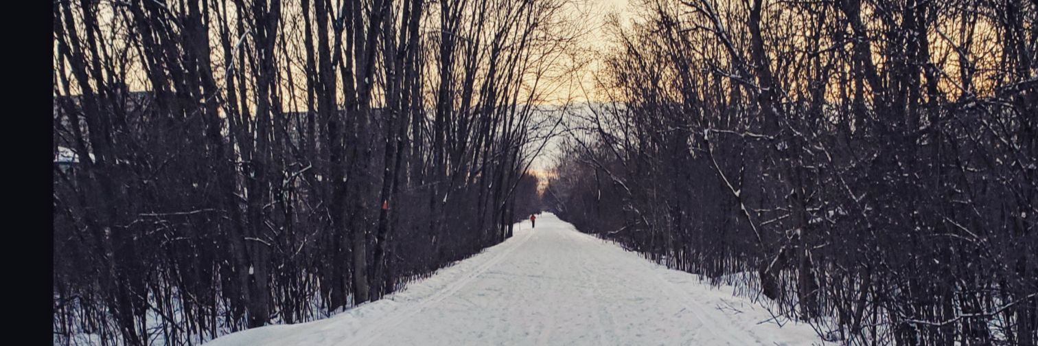 Jess Carpinone banner