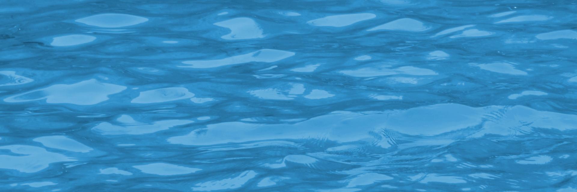 L'atrabilaire banner