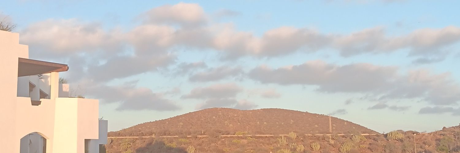 vanwassenhove's profile banner image