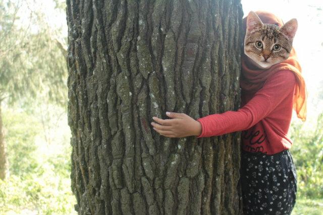 katiwi_'s profile banner image