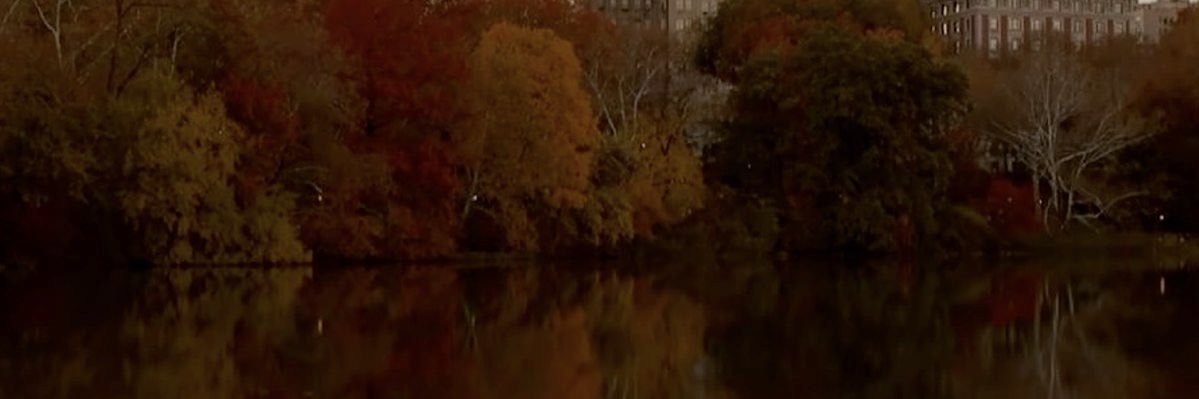 vilesonnets's profile banner image