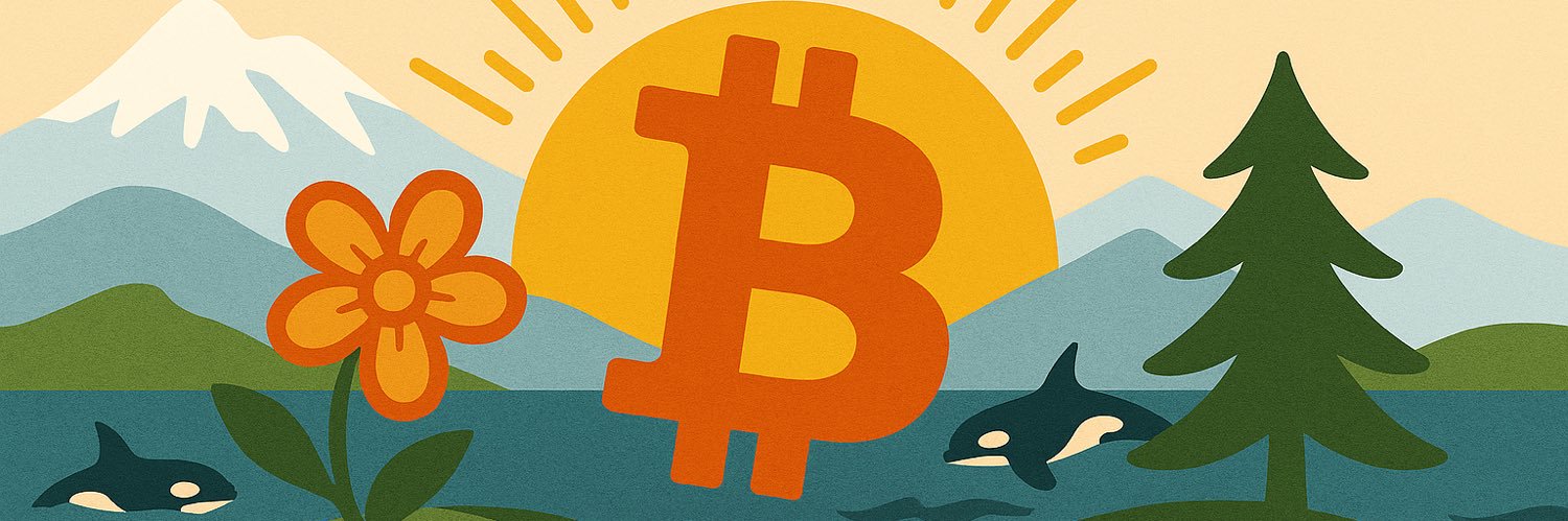 BITCOIN VALLEY's banner