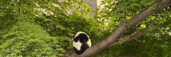 Stupid_omelet Profile Banner