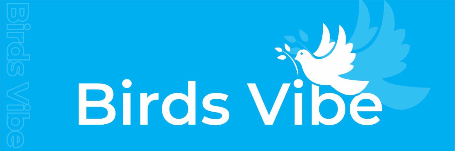 BirdsVibe's profile banner image