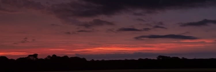 jaredraytx727's profile banner image