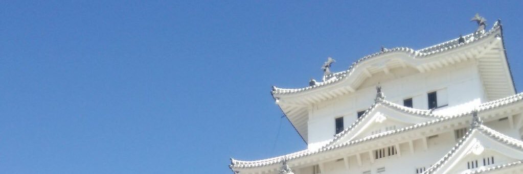 AcornDe's profile banner image