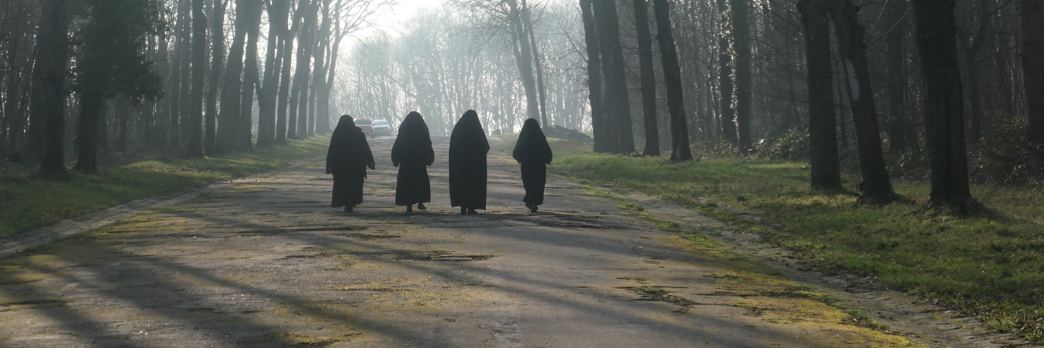 guy birenbaum banner