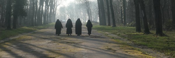 guybirenbaum Profile Banner