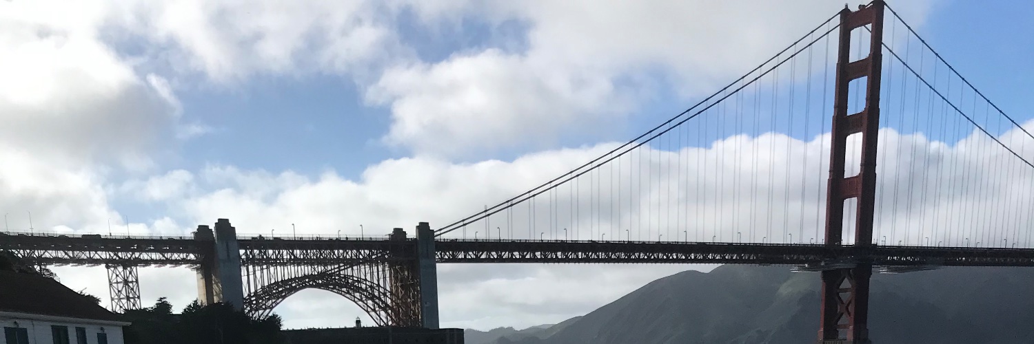 TheSewingPatriot98🪡🇺🇸 banner