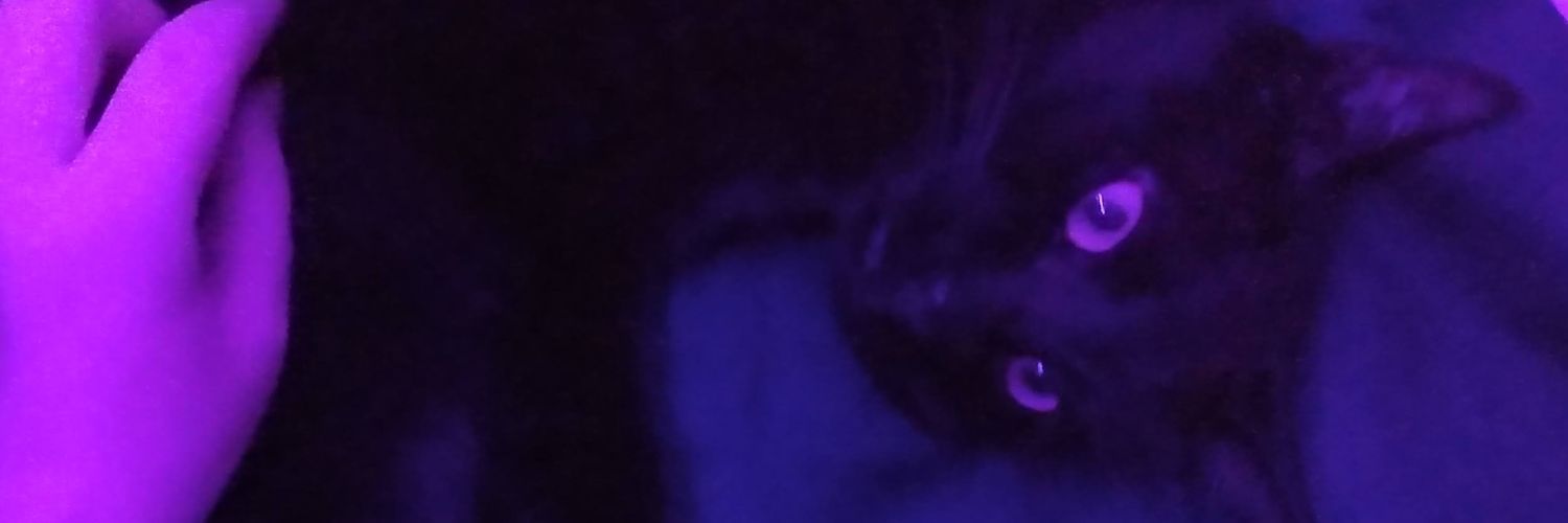 vancces_'s profile banner image
