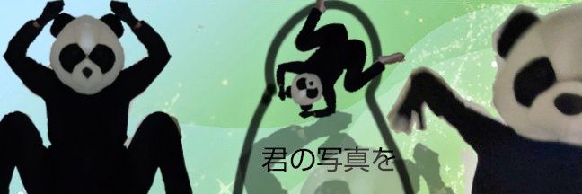 はんぺぇーん@ｻ亻亻ｸﾞ婚活垢 banner