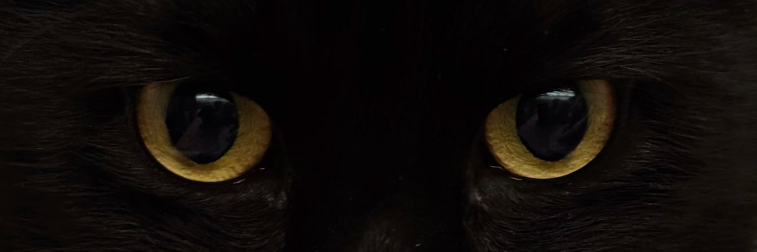 bia banner